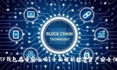 TP钱包存币安全吗？全面解